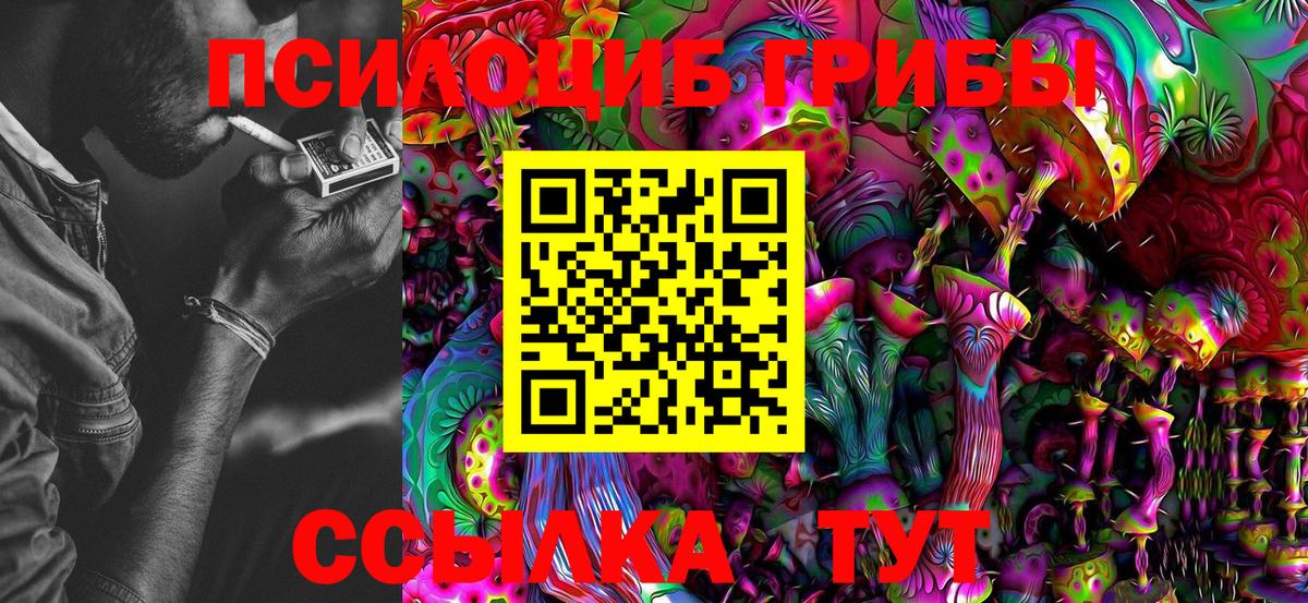 Ангарск  Псилоцибиновые грибы Psilocybine cubensis  Вход с VPN 